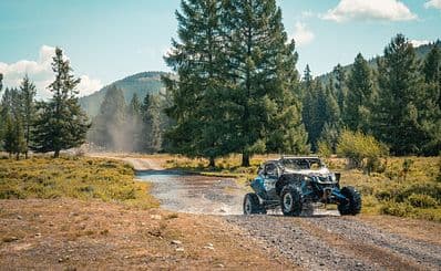All-Terrain Vehicle Safari