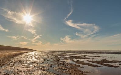 Wadden Sea