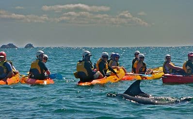 Kayaking with Dolphins