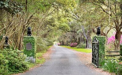 Magnolia Plantation & Gardens