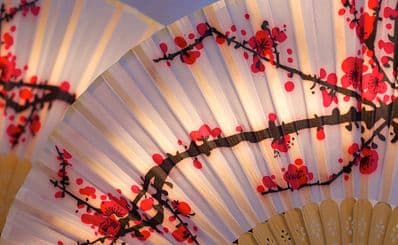 Painted Fans/ 阳朔画扇