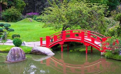 Jardin Japonais