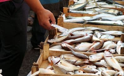Fish Market