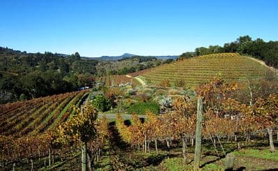 Benziger Family Winery