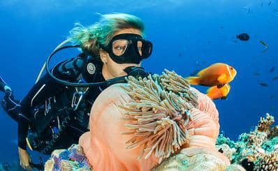 Banana Reef