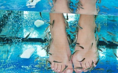 Ocean Spa - Dr. Fish