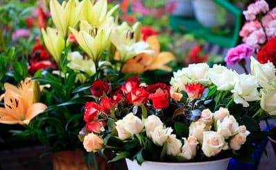 Flower Market