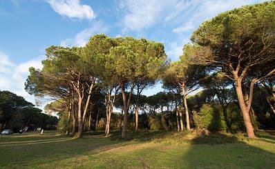 San Rossore Natural Park & Estate