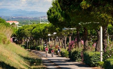 The bicycle tracks