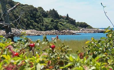 Old Silver Beach