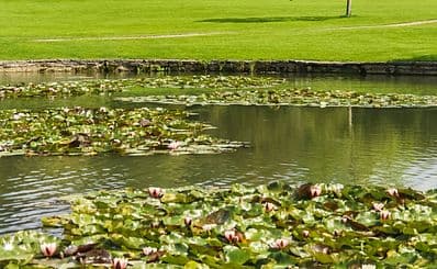 Saxnäs Golf Club — Öland’s Closest Golf Course