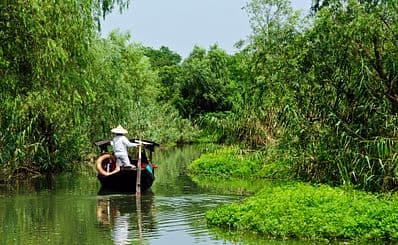 Xixi Wetland Park / 西溪湿地