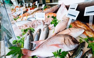 The Fish Market