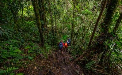 The Lost Waterfalls Hike