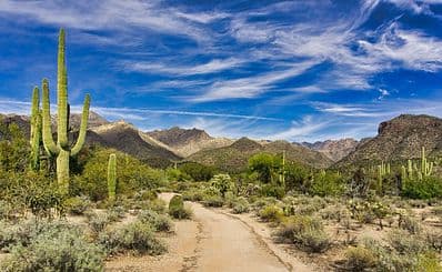 Sabino Canyon