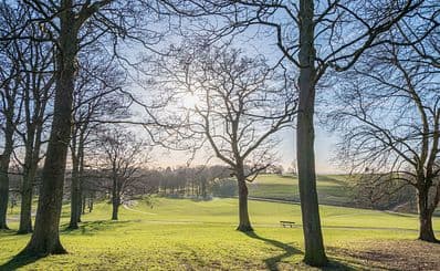 Roundhay Park