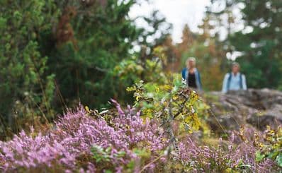 Östgöta Hiking Trail
