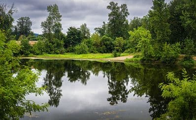 Fort Borst Park