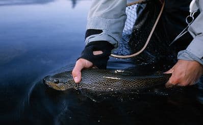 Fishing in Lapland