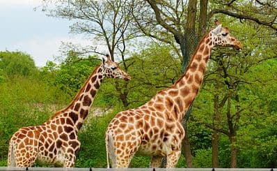 Lodz Zoo