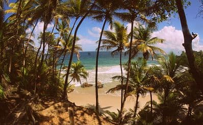 Blanchisseuse Bay