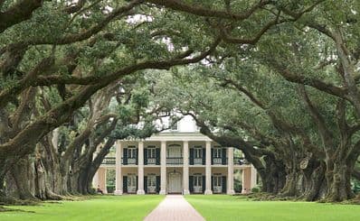 Swamp Boat Ride & Oak Alley Plantation Tour from New Orleans