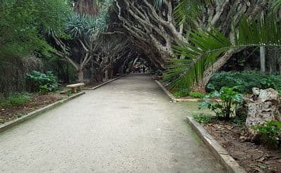 Botanical Garden Hamma