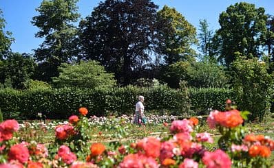 Vrijbroek Park