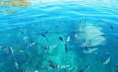 Cruise the Yasawa Islands