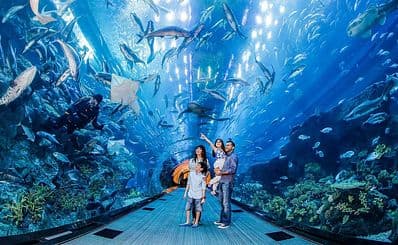 Dubai Aquarium & Underwater Zoo