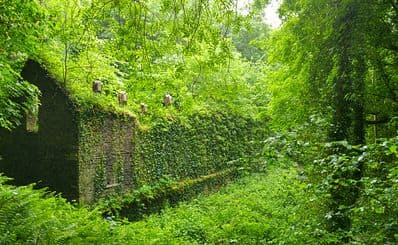 Dún na Rí Forest Park