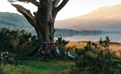 Biking & Cycling