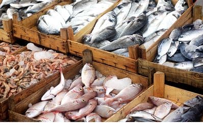 Fish Market