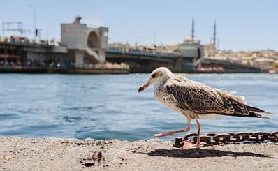 Eminönü Pier