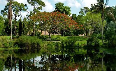 Mounts Botanical Garden