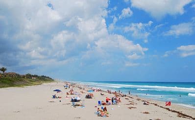 Loggerhead Park