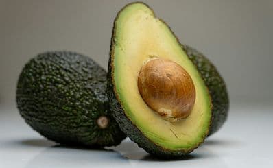 Rainbird Farm — Bobs Farm Avocados
