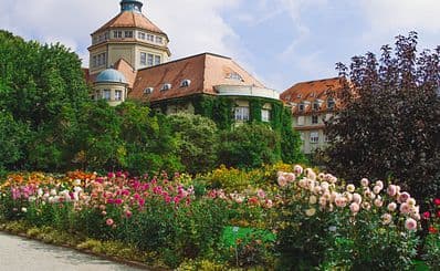 Palmengarten
