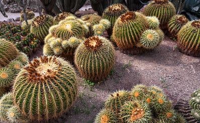 Botanical Garden