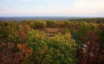 Lakeside Forest Wilderness Area