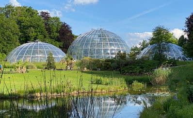University of Zürich Botanical Garden