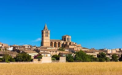 Sineu