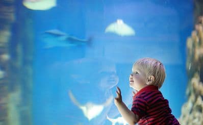 Aquazoo Löbbecke Museum