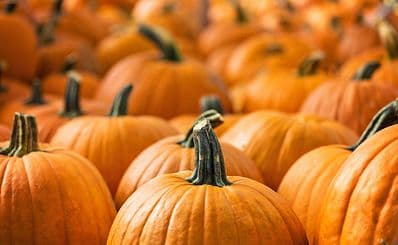 Virginia Pumpkin Festival
