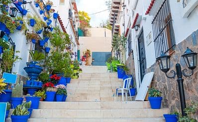 La Casita de las Macetas Azules