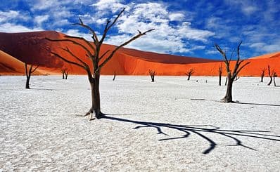 Namib-Naukluft National Park