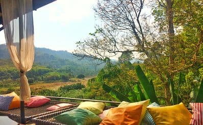 Jungle de Café