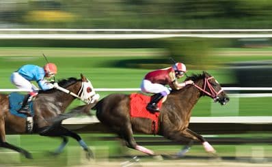Tampa Bay Downs