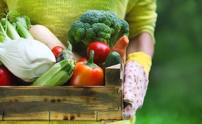 San Diego Organic Farms