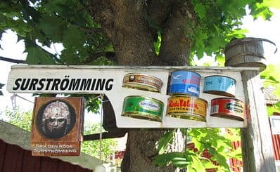 Fermented Herring